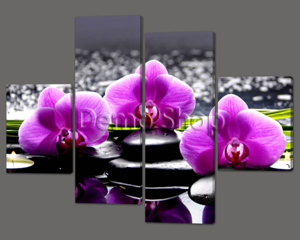 Модульная картина «Орхидея»