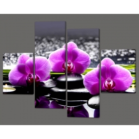 Модульная картина «Орхидея»